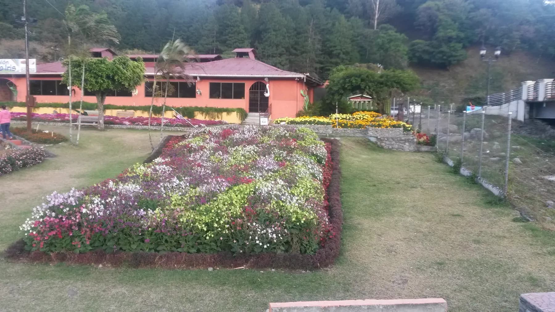 Flower beds on display at the Boquete Flower Fair