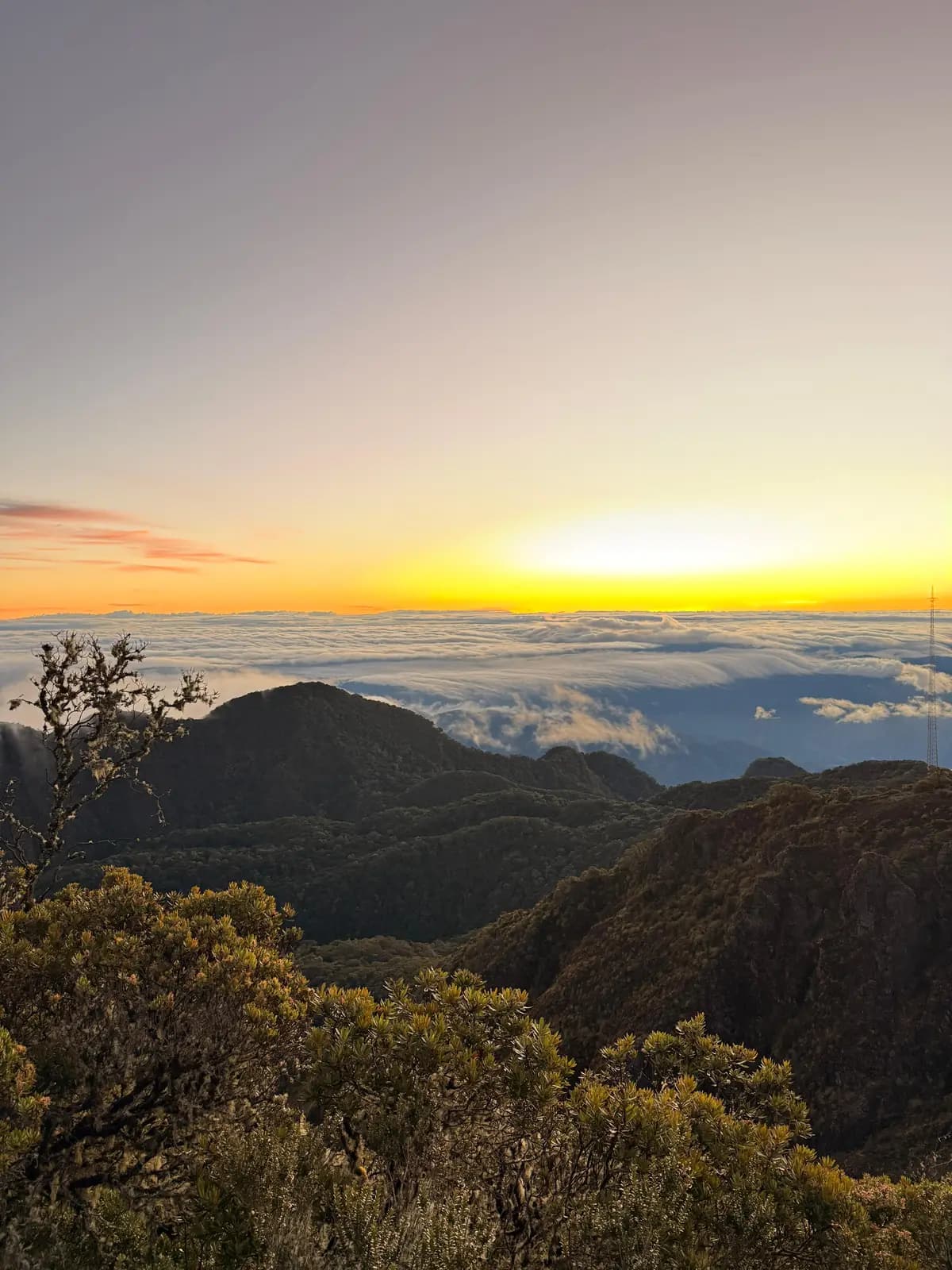 Golden sunrise glowing over forested ridges and clouds from Volcán Barú