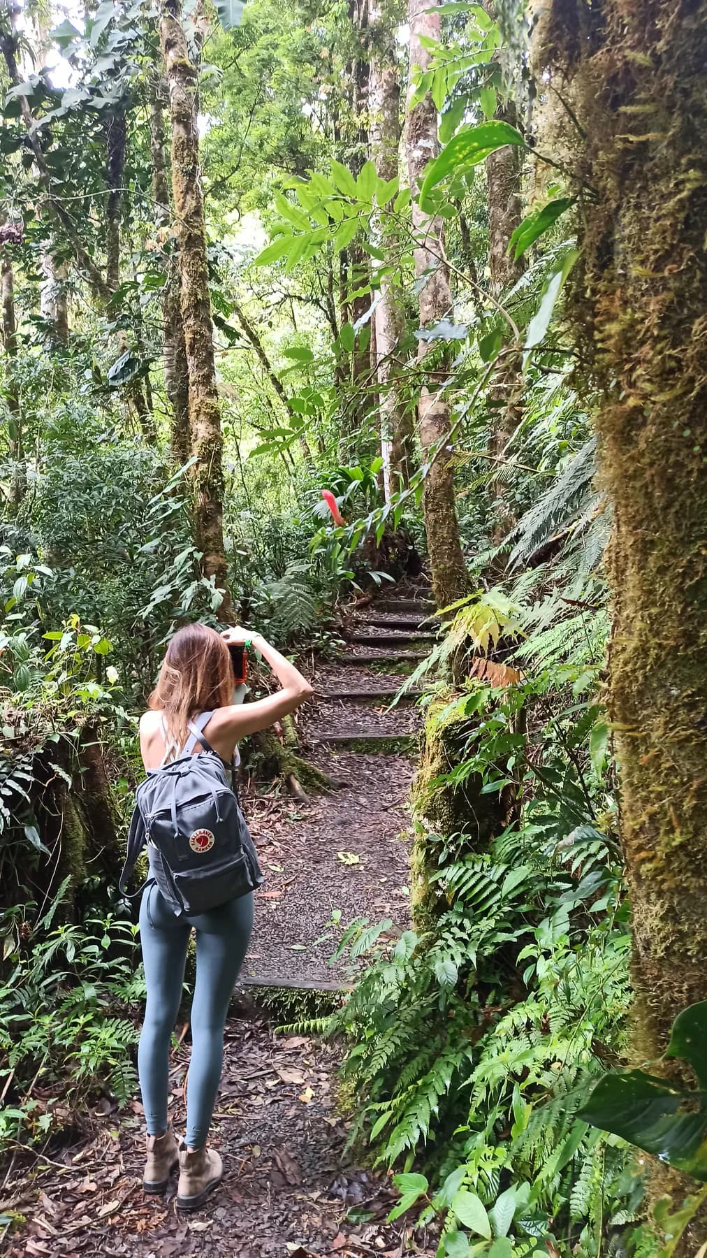 A hiker photographing the forest from the trail between the hanging bridges in Boquete
