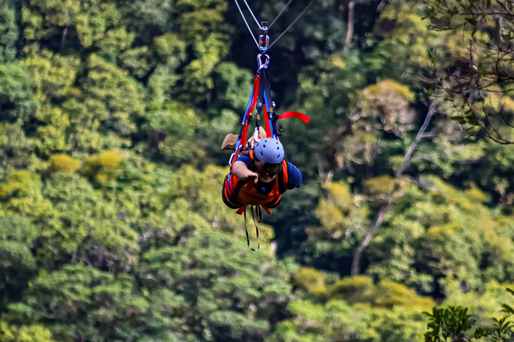 A Superman zipline rider in harness approaching the end of the line above the cloud forest