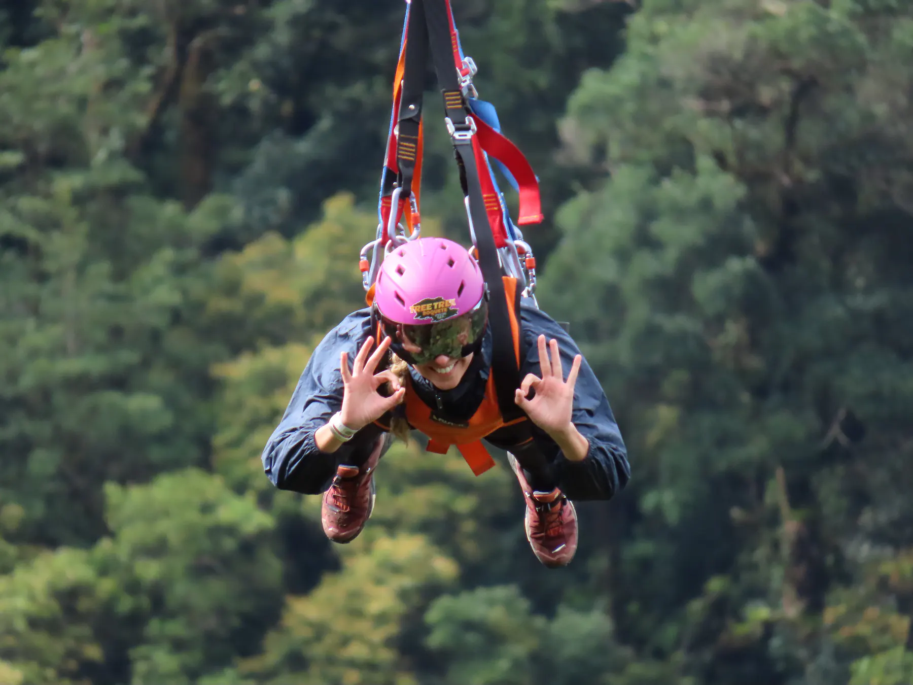 A rider in a pink helmet flying face-down on the Superman zipline above the Boquete forest