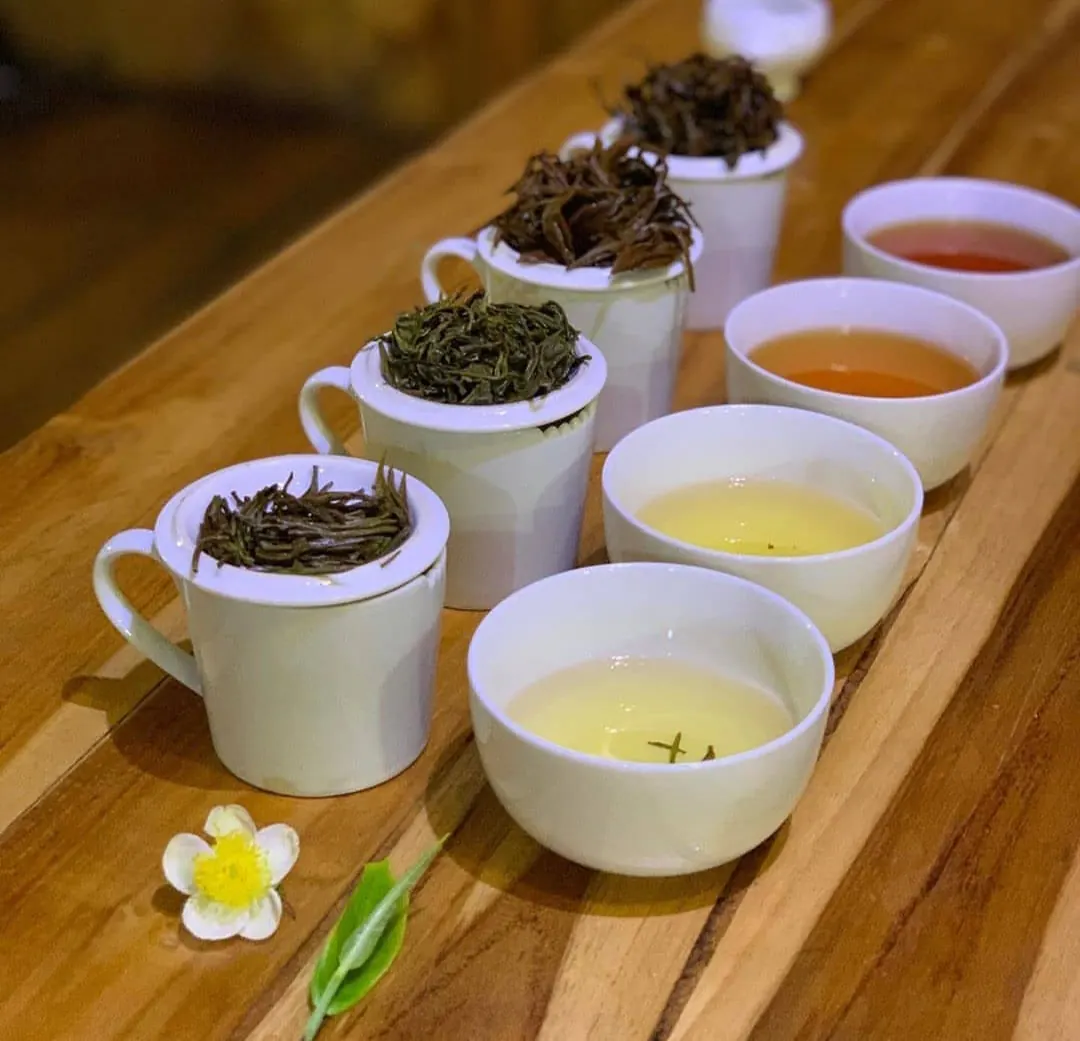 Four cups of tea with their dry leaves for a tasting of white, green, oolong and black tea